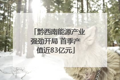 黔西南能源产业强劲开局 首季产值近83亿元